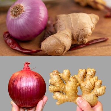 Red onion and ginger benefits, Well-being benefits of red onion, Ginger benefits for health, Red onion health benefits, Red onion and ginger wellness, Red onion and ginger properties, Health benefits of red onion, Ginger and red onion nutrition, Red onion and ginger remedies, Well-being benefits of ginger, Red onion and ginger advantages, Natural remedies with red onion and ginger, Red onion and ginger healing, Health benefits of ginger and red onion, Red onion and ginger nutrients, Well-being benefits of red onion, Ginger and red onion health perks, Red onion and ginger health boost, Red onion and ginger vitality, Red onion and ginger wellness benefits, Ginger and red onion properties, Benefits of red onion and ginger tea, Red onion and ginger medicinal properties, Red onion and ginger health advantages, Ginger and red onion well-being, Red onion and ginger therapeutic benefits, Red onion and ginger health enhancements, Red onion and ginger immune support, Red onion and ginger nutritional value, Ginger and red onion health benefits, Red onion and ginger health, Red onion and ginger well-being, Ginger and red onion health boost, Red onion and ginger health solutions, Well-being benefits of red onion and ginger, Red onion and ginger health facts, Ginger and red onion nutrients, Red onion and ginger for wellness, Red onion and ginger health effects, Benefits of red onion and ginger, Red onion and ginger for well-being, Ginger and red onion natural remedies, Red onion and ginger health benefits, Red onion and ginger health support, Ginger and red onion well-being benefits, Red onion and ginger health properties, Red onion and ginger natural benefits, Red onion and ginger wellness perks, Ginger and red onion health properties, Red onion and ginger health improvement, Ginger and red onion health benefits, Red onion and ginger health advantages, Red onion and ginger wellness support, Ginger and red onion health enhancement, Red onion and ginger health insights, Red onion and ginger well-being insights, Ginger and red onion nutritional benefits, Red onion and ginger health knowledge, Red onion and ginger well-being knowledge, Ginger and red onion health benefits, Red onion and ginger for health, Ginger and red onion wellness benefits, Red onion and ginger health promotion, Red onion and ginger wellness enhancement, Ginger and red onion health support, Red onion and ginger health improvement, Ginger and red onion health perks, Red onion and ginger well-being perks, Red onion and ginger health insights, Ginger and red onion health enlightenment, Red onion and ginger health understanding, Ginger and red onion well-being understanding, Red onion and ginger health awareness, Ginger and red onion wellness awareness, Red onion and ginger health realization, Ginger and red onion well-being realization, Red onion and ginger health revelation, Ginger and red onion wellness revelation, Red onion and ginger health discovery, Ginger and red onion well-being discovery, Red onion and ginger health revelation, Ginger and red onion wellness revelation, Red onion and ginger health insight, Ginger and red onion wellness insight, Red onion and ginger health discovery, Ginger and red onion wellness discovery, Red onion and ginger health epiphany, Ginger and red onion well-being epiphany, Red onion and ginger health realization, Ginger and red onion wellness realization, Red onion and ginger health enlightenment, Ginger and red onion well-being enlightenment, Red onion and ginger health breakthrough, Ginger and red onion wellness breakthrough, Red onion and ginger health enhancement, Ginger and red onion well-being enhancement, Red onion and ginger health uplift, Ginger and red onion wellness uplift, Red onion and ginger health inspiration, Ginger and red onion well-being inspiration,
